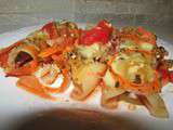 Cannellonis boeuf tomate carotte façon Mamounette