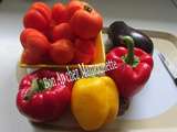 Coulis aux légumes et aux tomates avec herbes du jardin et mon cri d'horreur sur la blogo