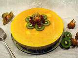 Tropical : dacquoise coco, mousse à la mangue, nappage fruit de la passion