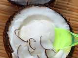 Glace À la noix de coco avec 3 INGRÉDIENTS et astuce copeaux de noix de coco maison