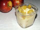 Flan aux pommes et au lait concentré sucré (à la Multidélices)