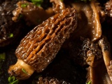 17 meilleures recettes de champignons Morel
