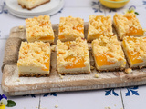 Gâteau aux abricots avec des pépites du plateau