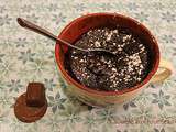 Mug cake au chocolat ou comment se préparer un délicieux gâteau minute