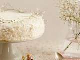 Gâteau aux pommes et aux noix de coco