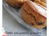 Petits {ou grand} gâteaux à la farine complète (T150), son d'avoine - pépites de chocolat et raisins secs bio Thompson