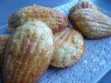 Ronde interblog 34: Madeleines à la vanille