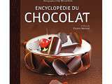 Cônes en chocolat, crème à la menthe