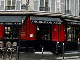 The Blossom Arms | Pub anglais à Paris