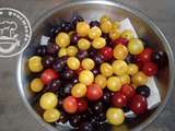 Balade a velo et ramassage de prunes