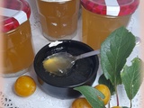 Gelée de mirabelles