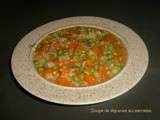 Soupe de légumes au sarrasin