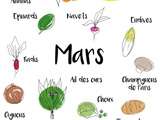 Calendrier des fruits et légumes de saison - Mars