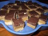 Millionaire's shortbread  <img src= http://www.icone-gif.com/gif/webmaster/new/new-gif-002.gif border 0 >