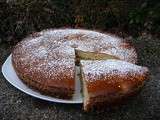 Gateau au fromage blanc moelleux et rapide