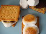 Cookie dough s'mores - Batllefood #18