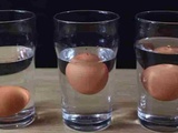 5 façons de reconnaitre si un œuf est frais ou pourri, astuce rapide