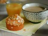 Muffins des matins difficiles : pomme, carotte, coco