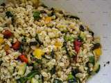 Salade froide d'Ebbly et courgettes