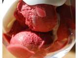 Sorbet framboises & son émulsion coco Thermomix & siphon
