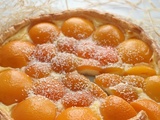 Tarte pâtissière pêche-abricot