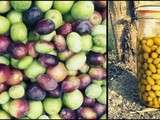 Comment préparer ses olives