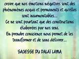 Citation Dalaï Lama 🙏