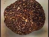 Dans les lignes blanches de la truffe noire