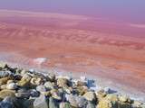 A la découverte de la fleur de Sel de Camargue