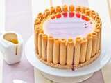 Cheesecake sans cuisson aux Cigarettes russes