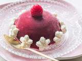 Sorbet « Pure Framboise » & Meringues pour un dessert de fêtes