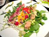 D'incroyables salades-repas absolument inédites et complètement originales