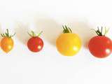 Cerise ou groseille ? Rouge ou jaune ? 4 tomates apéro pour l’été