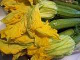 Beignets de fleurs de courgette