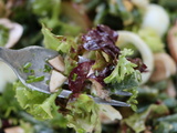 Salade mélangée très verte