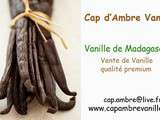 Cap ambre vanille des gousse de vanille Bourbon de Madagascar lesmoins cheres du net  une Qualité/Prix imbattable