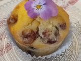 Muffins pomme/cranberries