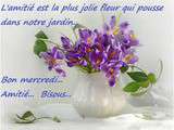 Je passe vous dire Bonjour