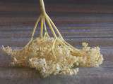 tarif des fleurs comestibles
