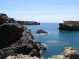 Soupe laitue et laitue de mer( l'Aapothicairerie,Port de Stêr-vraz)