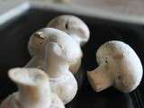 Tartine champignons myrtilles