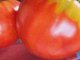 Tomates farcies au bar, rouille.rouille