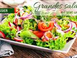 Dossier : Grandes salades version plat unique