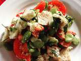 Salade de fèves/ tomates/mozza