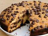 Cake aux Pépites de Chocolat