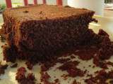 Gâteau au chocolat en poudre