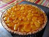 Tarte aux Abricots Secs