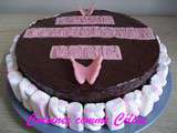 Gâteau chocolat papillon rose