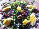Salade de carotte rouge râpée, pissenlit et Violettes, ses oeufs durs frais et ses enchois