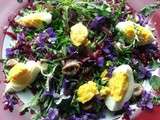 Salade de carottes rouges râpées, pissenlits et violettes, ses œufs durs frais et ses anchois